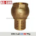 Water Non Return Vertical Brass Spring Check Valves